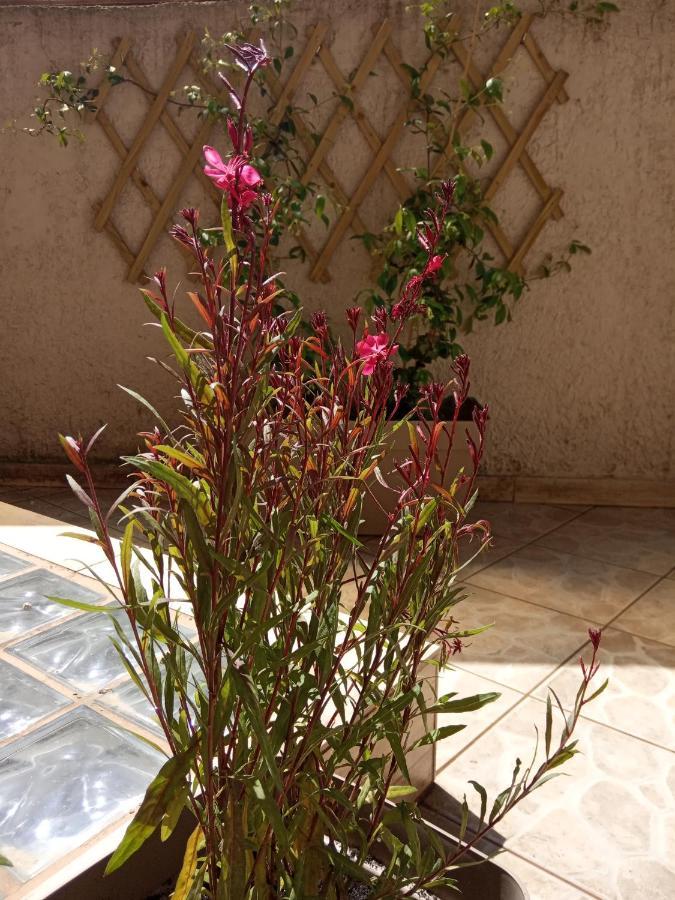 Appartement City Center Garden House